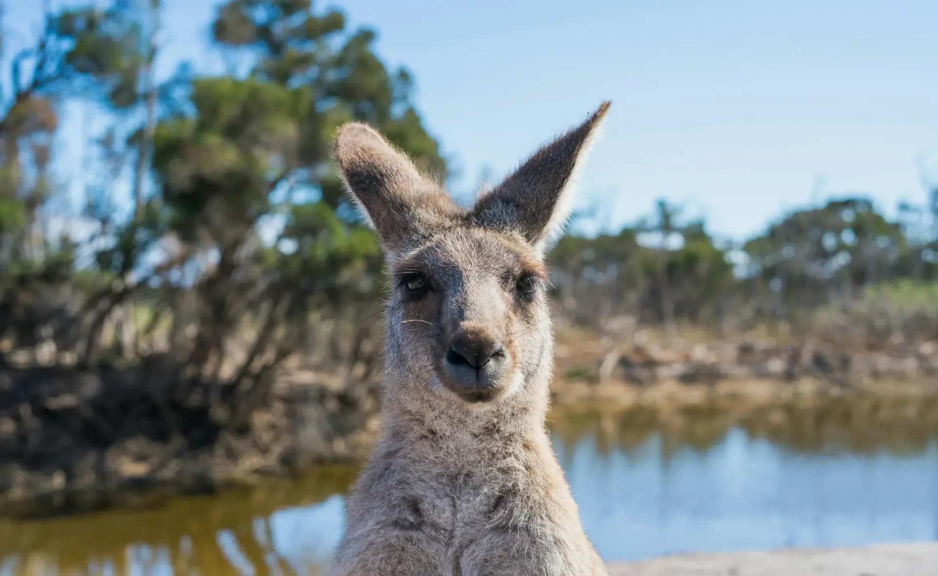 Hero-Bild für Australien