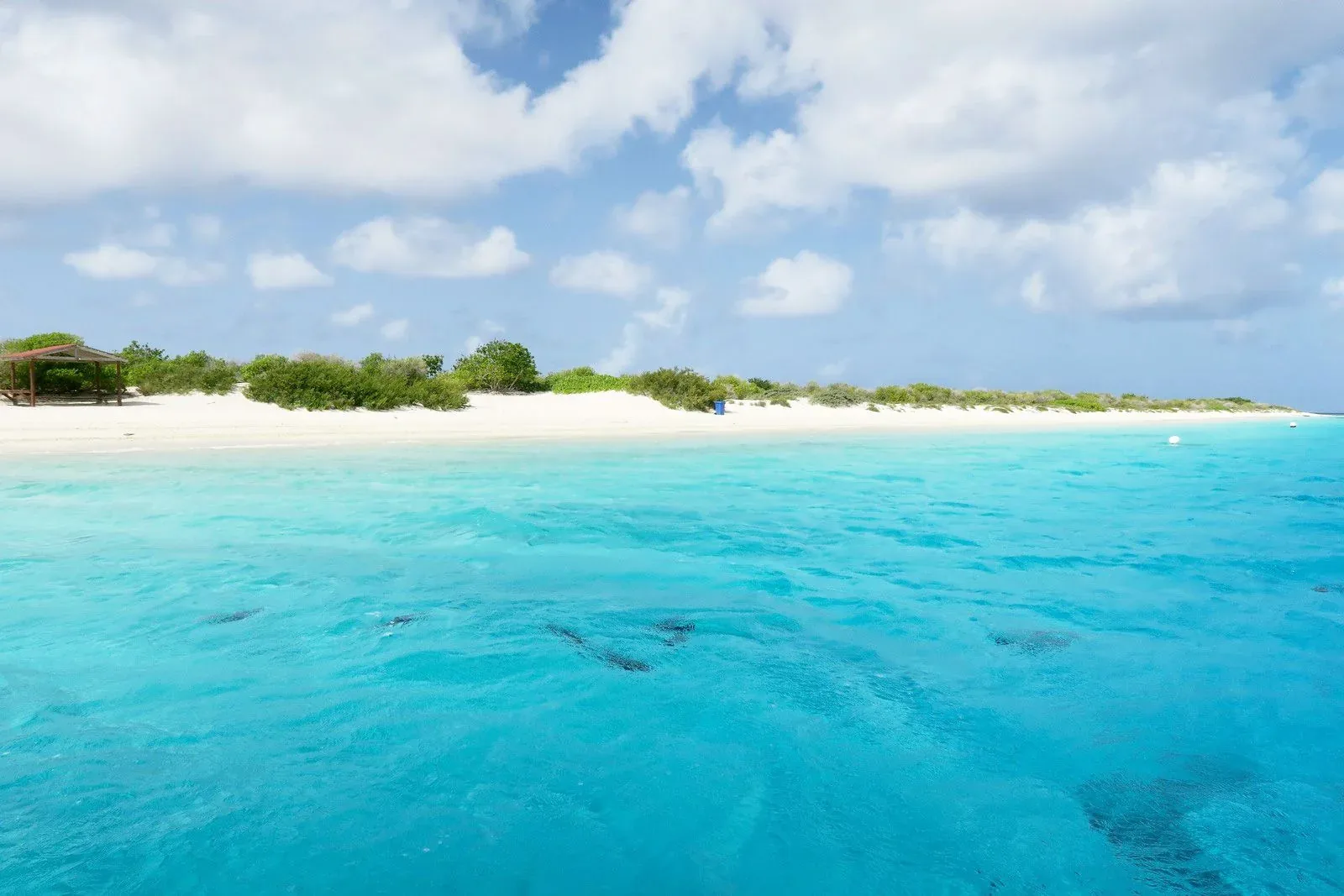 Hero-Bild für Bonaire, Sint Eustatius und Saba