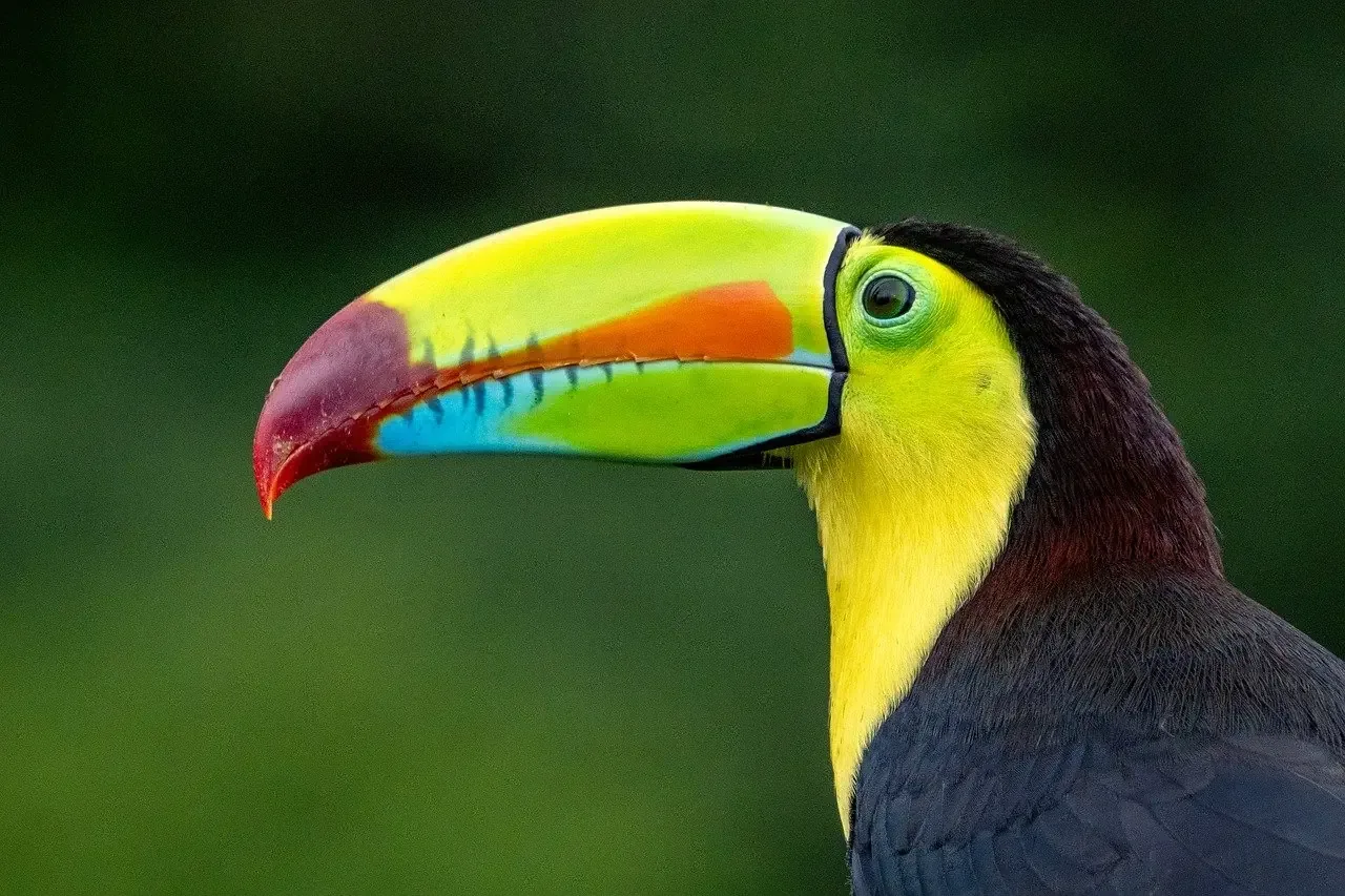 Hero-Bild für Costa Rica