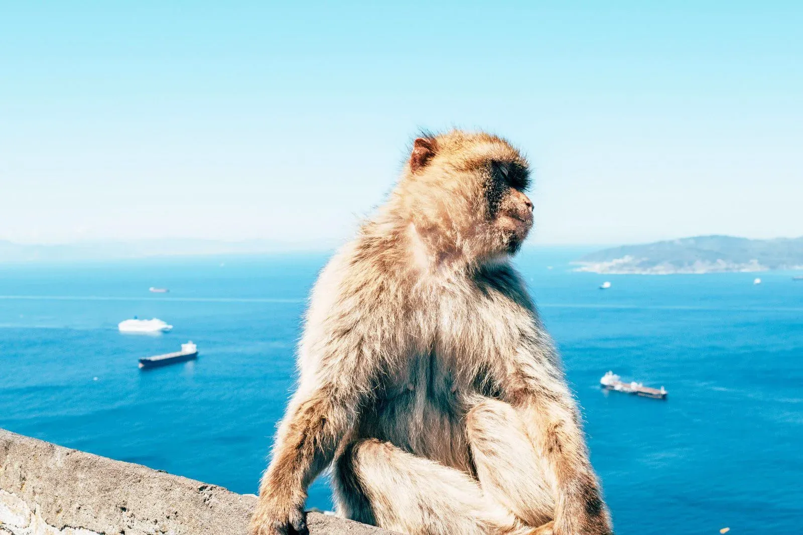 Hero-Bild für Gibraltar
