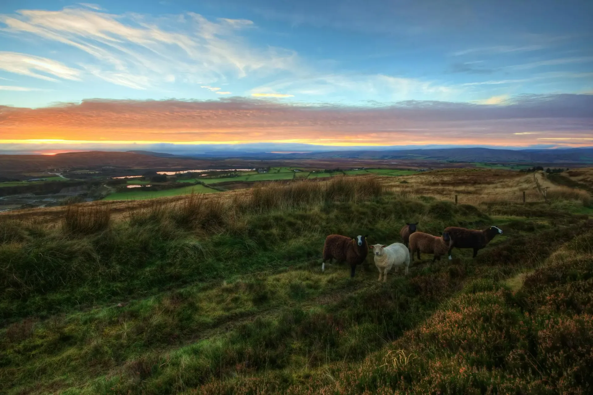 Hero-Bild für Irland