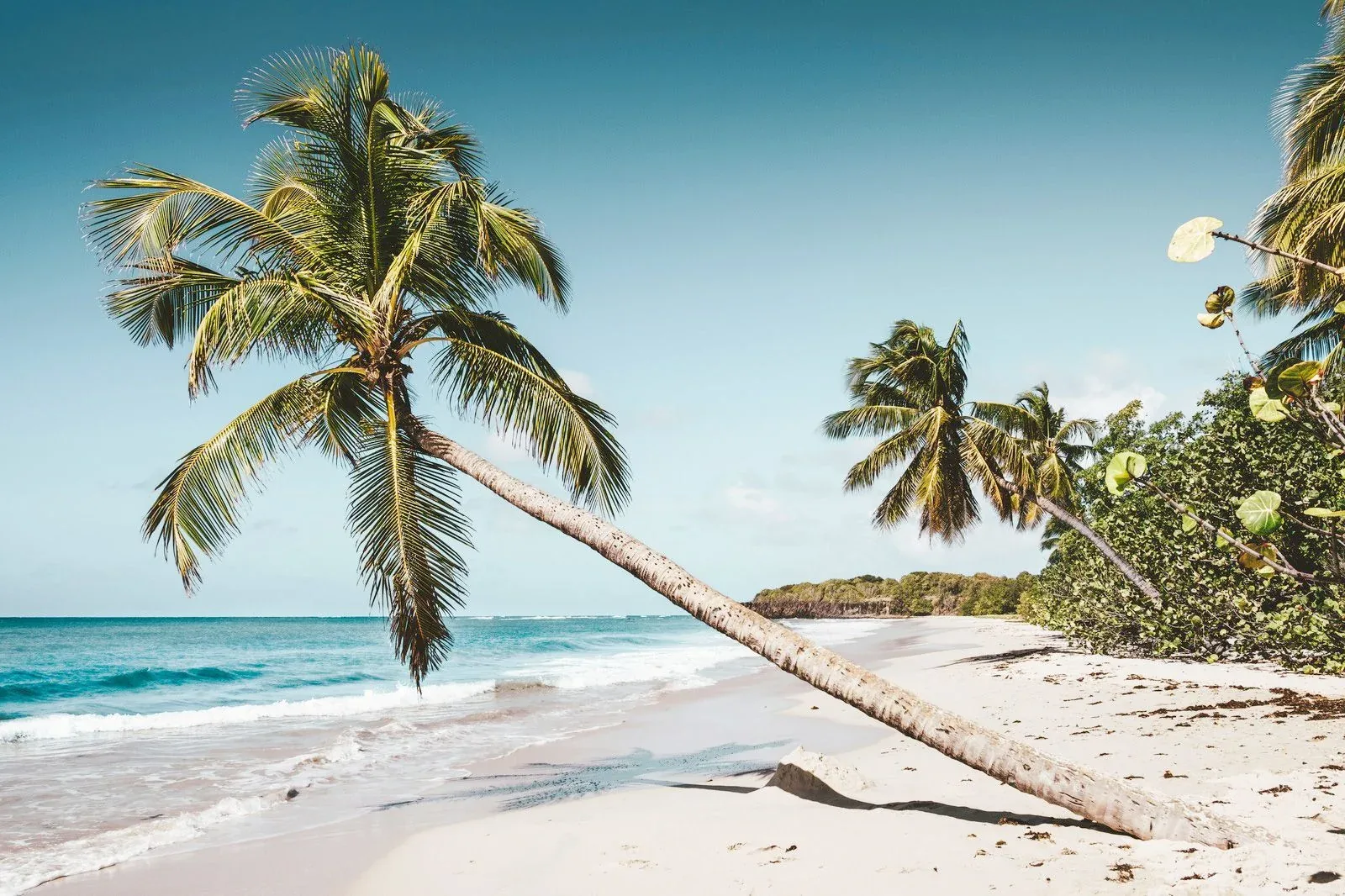 Hero-Bild für Martinique